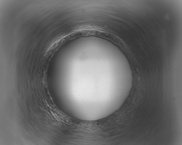 X0000086050775200703230919