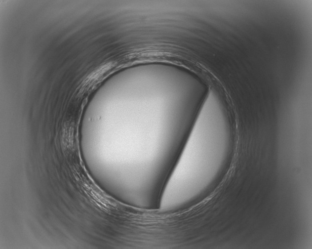 X0000086050777200703230919