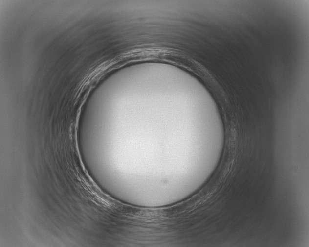 X0000086050778200703230919