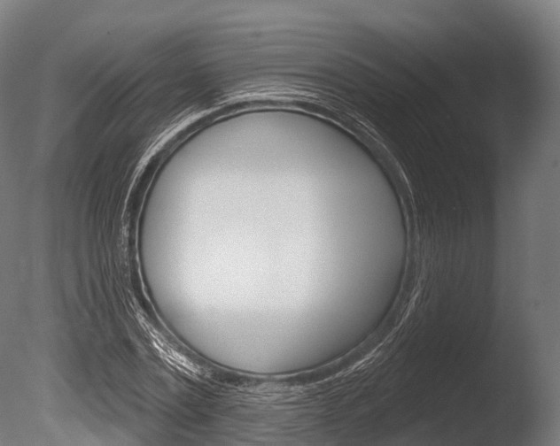 X0000086050779200703230919