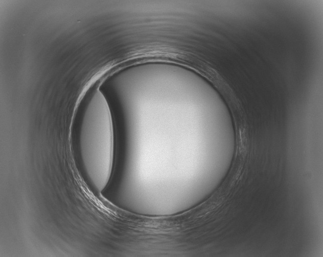 X0000086050780200703230919
