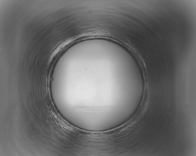 X0000086050781200703230919