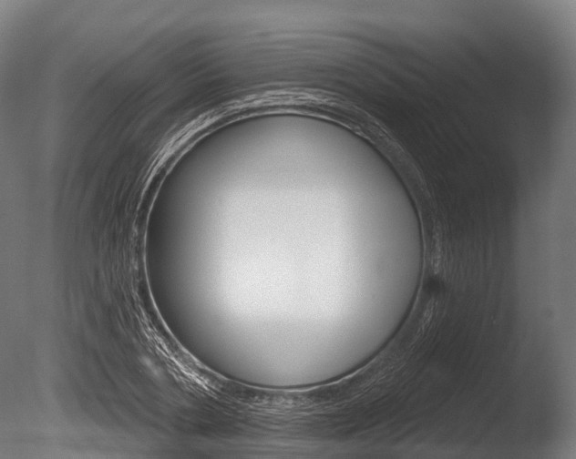 X0000086050786200703230919