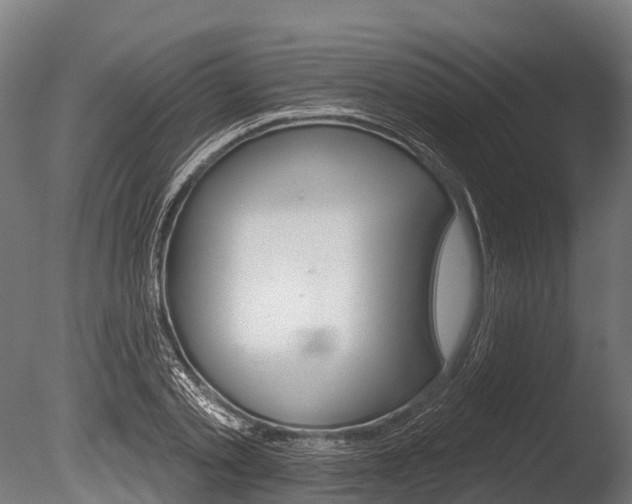 X0000086050789200703230919