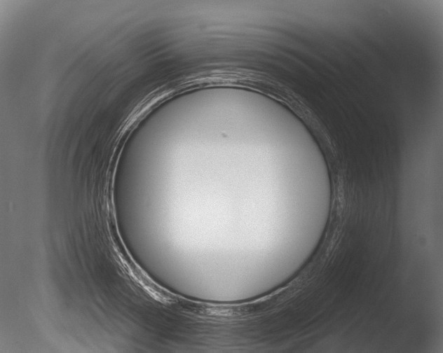 X0000086050794200703230919