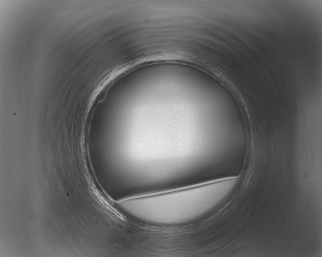 X0000086050797200703230919