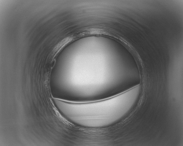 X0000086050801200703230919
