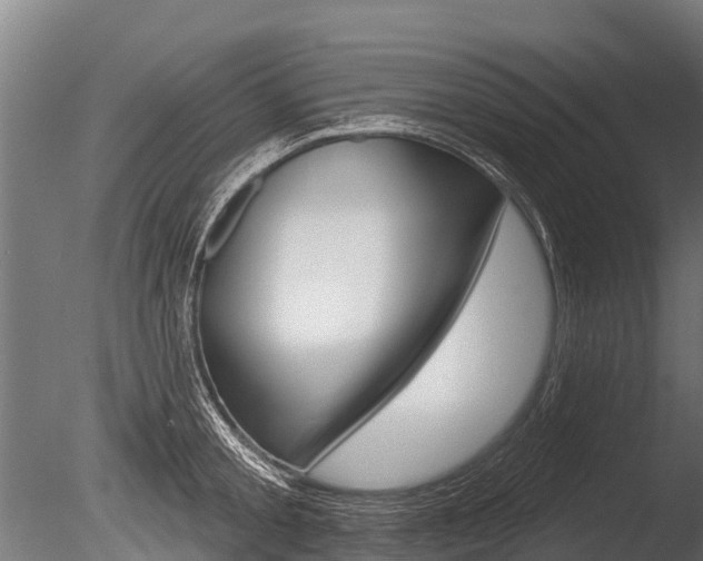 X0000086050805200703230919