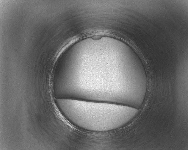 X0000086050806200703230919