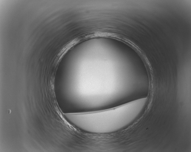 X0000086050809200703230919