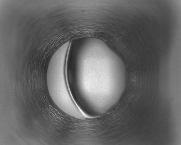 X0000086050818200703230918
