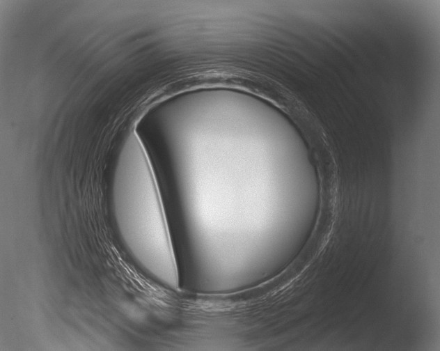 X0000086050825200703230918