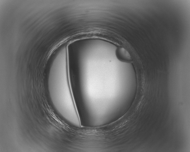 X0000086050826200703230918