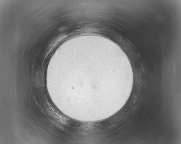 X0000086050828200703230918