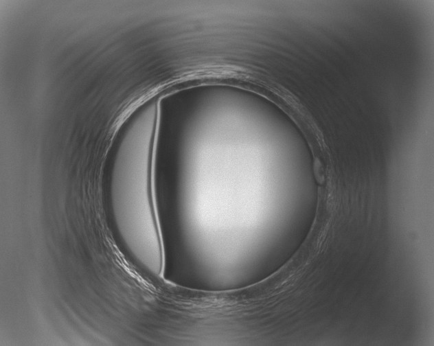 X0000086050834200703230918
