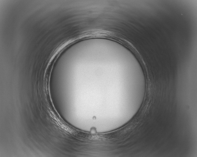 X0000086050835200703230918