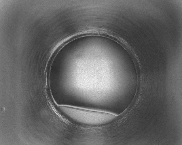 X0000086050838200703230918