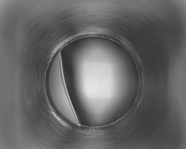 X0000086050842200703230918