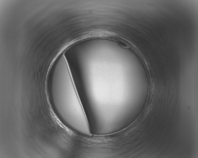 X0000086050843200703230918