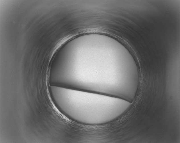 X0000086050847200703230918