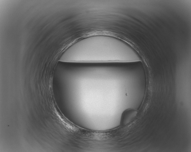 X0000086050849200703230918