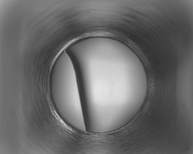 X0000086050852200703230918