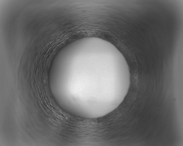 X0000086050865200703230918