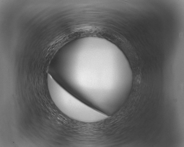 X0000086050869200703230918
