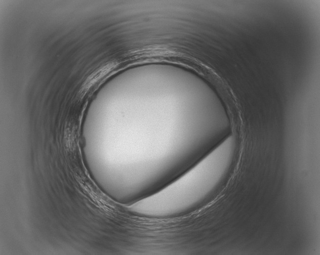 X0000086050873200703230918