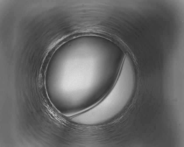 X0000086050876200703230918