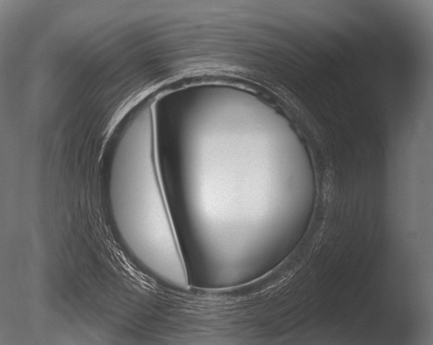 X0000086050877200703230918