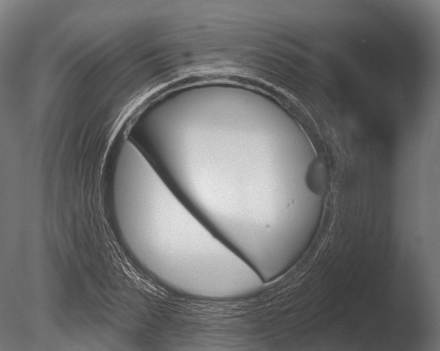 X0000086050879200703230918