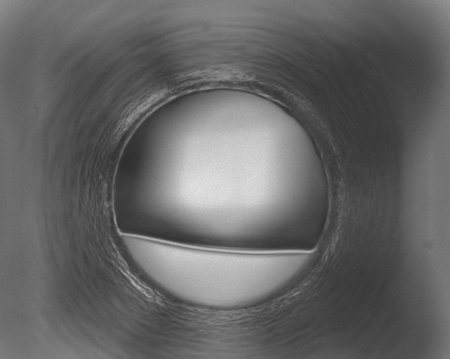 X0000086050881200703230918