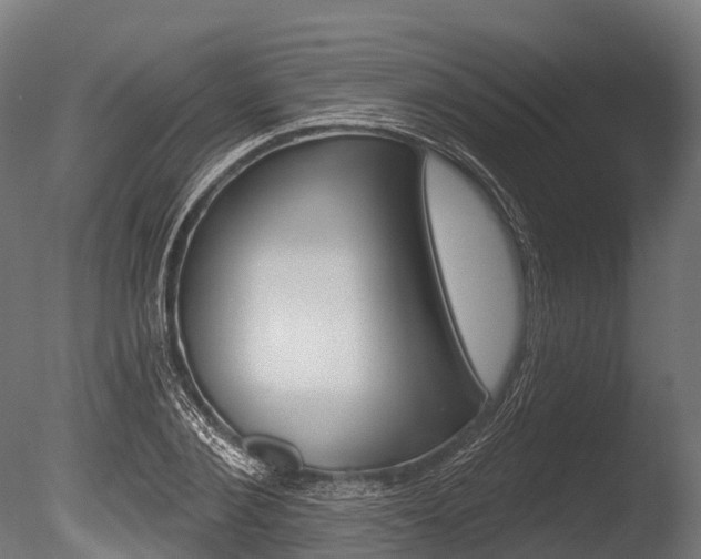 X0000086050884200703230918