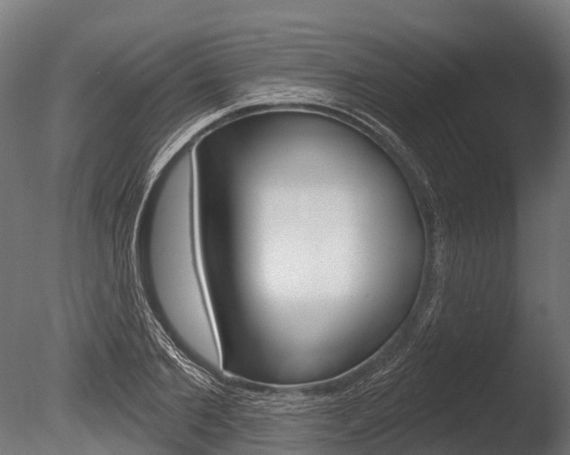 X0000086050885200703230917