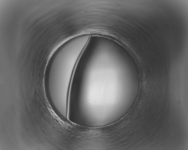 X0000086050888200703230917