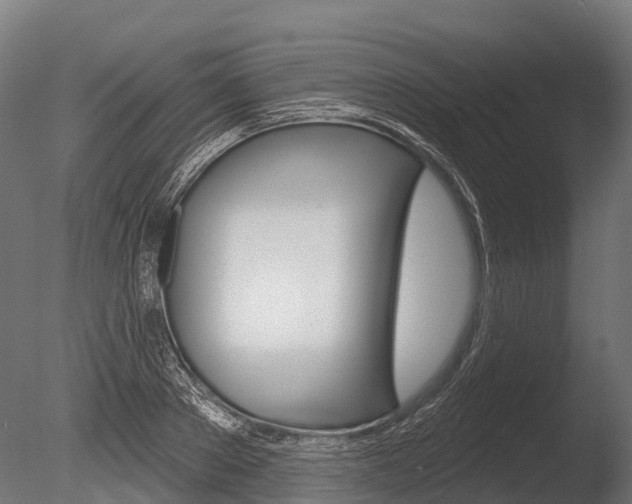 X0000086050889200703230917