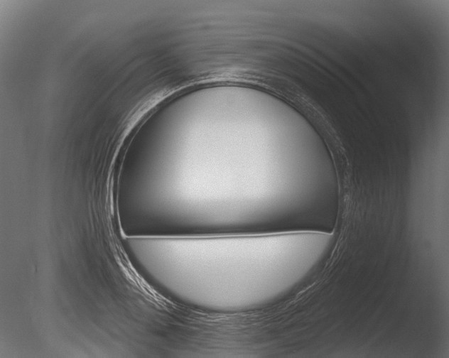 X0000086050892200703230917