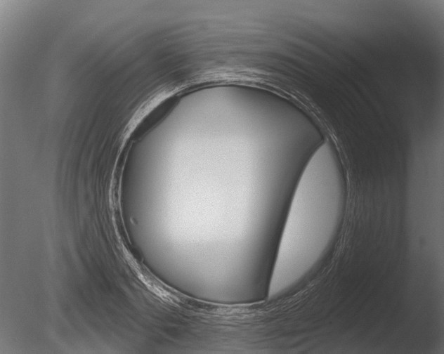 X0000086050893200703230917