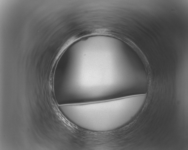 X0000086050908200703230917