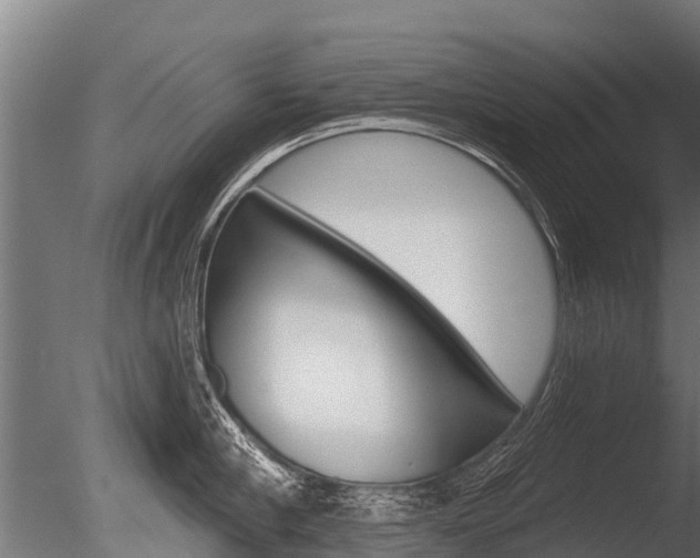 X0000086050910200703230917