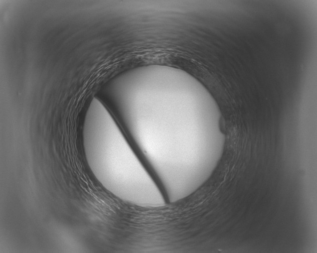 X0000086050913200703230916