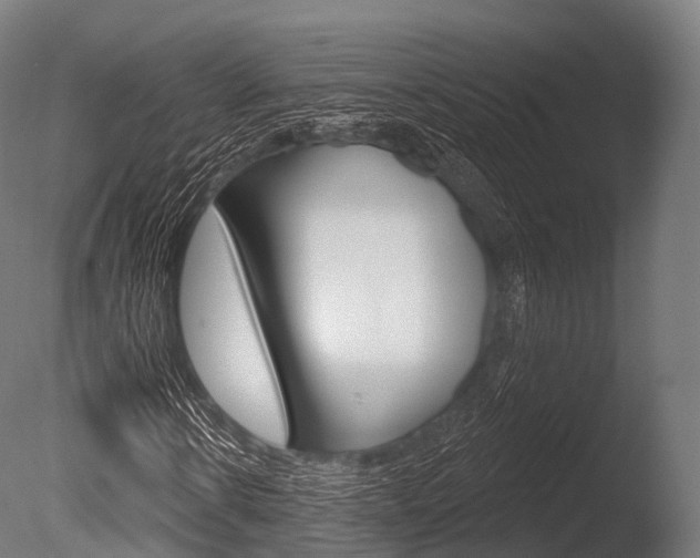 X0000086050914200703230916