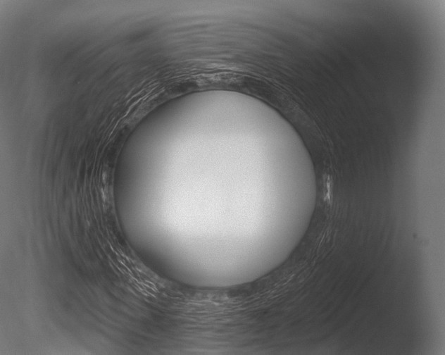 X0000086050915200703230916