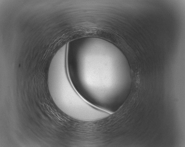 X0000086050916200703230916