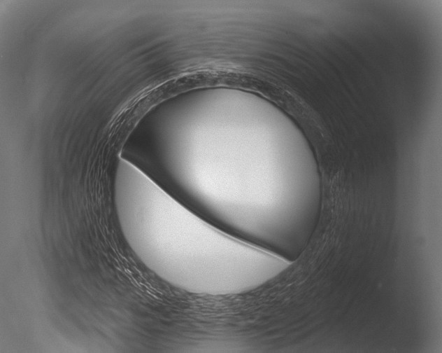 X0000086050919200703230916