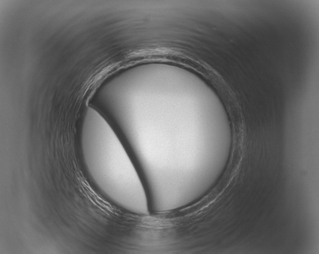 X0000086050921200703230916