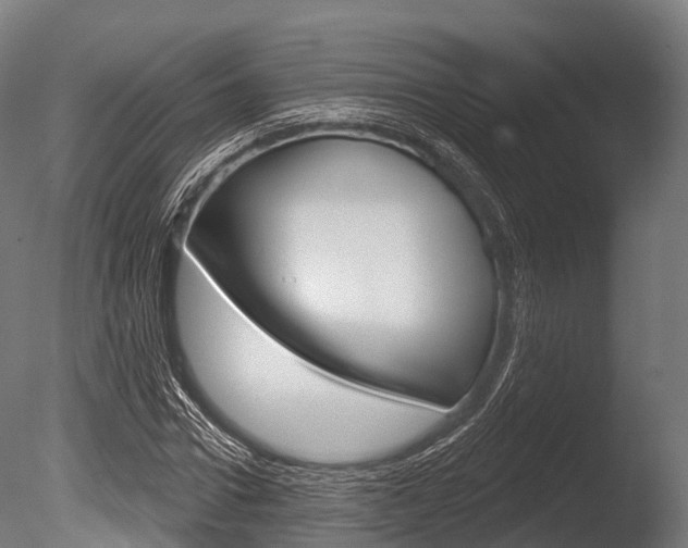 X0000086050922200703230916