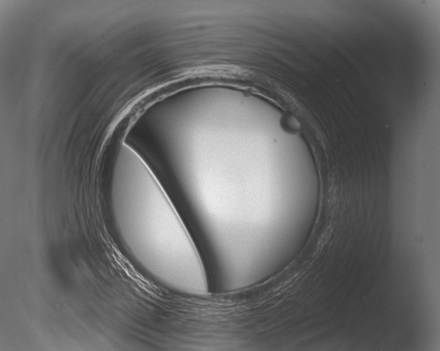 X0000086050923200703230916