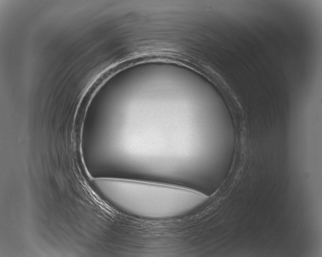 X0000086050924200703230916